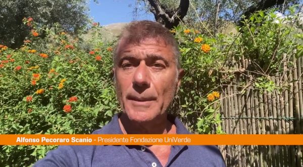 Pecoraro Scanio “Bene pentimento Berlusconi su alberi”