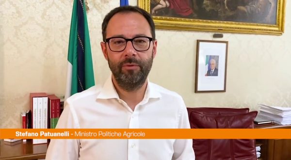 Patuanelli “M5S non sta bloccando il decreto Aiuti”