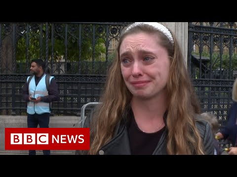 Mourners travel to view Queen lying in state from across world – BBC News