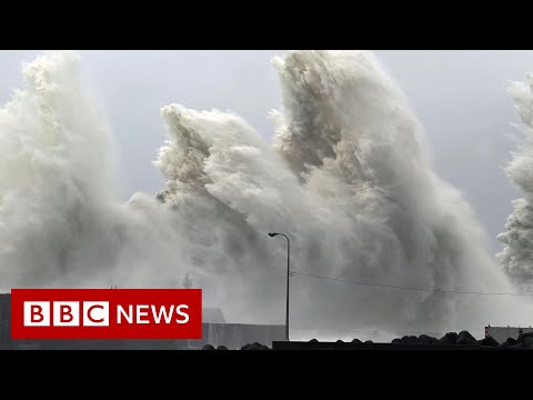 Flooding and mudslides as typhoon batters Japan – BBC News