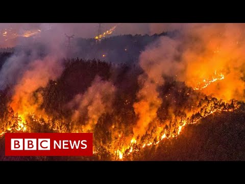 Chinese motorcyclists join wildfire battle – BBC News