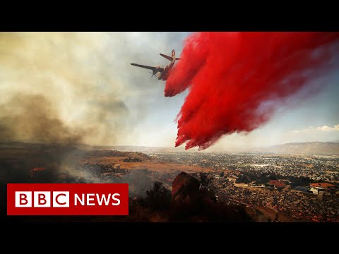 California Fairview wildfire: Two dead and mass evacuations – BBC News