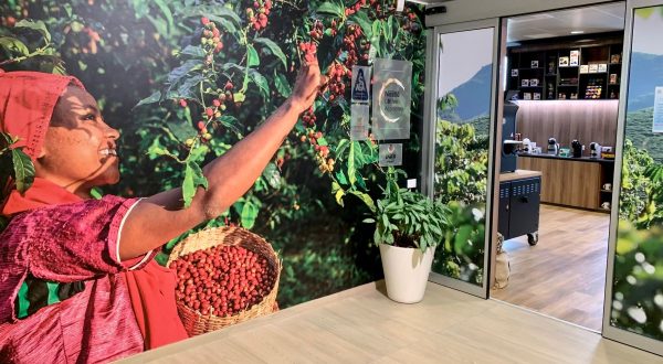 Coltivazione di caffè più green, Nestlè lancia il Nescafè Plan 2030