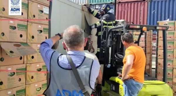 Al porto di Catania sequestrati 110 kg di cocaina per 12 milioni