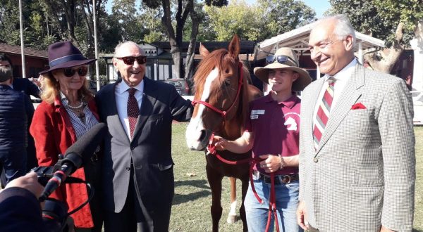 Salute mentale, il viaggio del cavallo Persano fa tappa a Roma