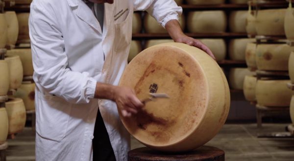 Parmigiano Reggiano, vendite in crescita nei primi 9 mesi del 2022