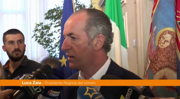 Zaia “Il governo deve risolvere il problema del caro bollette”