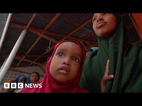 Millions go hungry in Somalia’s worst drought crisis for decades – BBC News