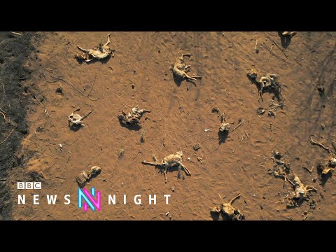 ‘Drought has claimed my husband’s life’ – BBC Newsnight