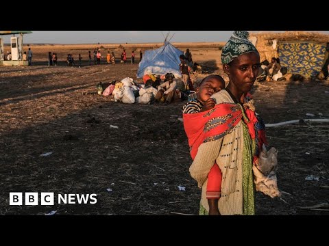 Ethiopian civil war leads to thousands of children’s deaths through malnutrition – BBC News