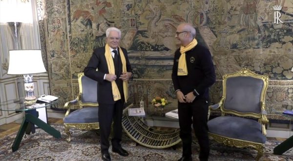 Mattarella incontra il capo della Protezione Civile