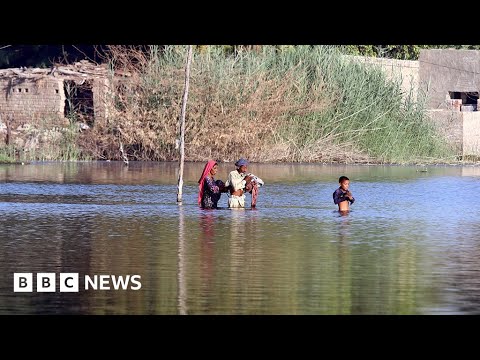 Pakistan calls for compensation for poorer countries affected by climate change – BBC News