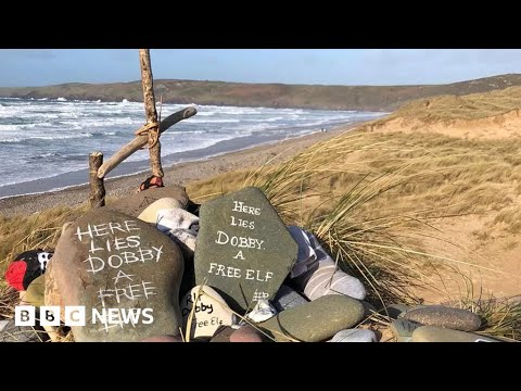 Grave of Harry Potter’s Dobby the Elf saved – BBC News