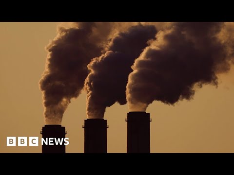 Climate summit agrees damages fund but fails to curb fossil fuels – BBC News