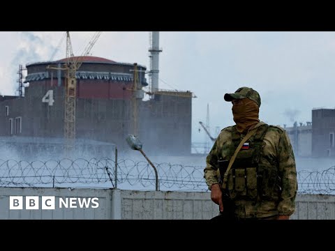 Shelling at Ukraine’s Zaporizhzhia nuclear plant must stop, says UN watchdog – BBC News