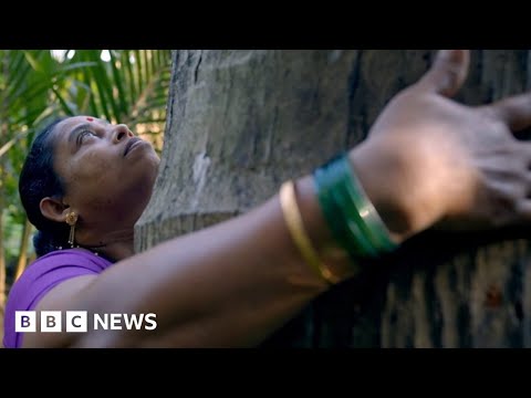 Mumbai woman fights to protect urban forest home to leopards and indigenous community – BBC News