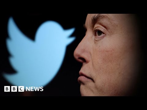 Twitter staff say layoffs have started after Elon Musk takeover – BBC News