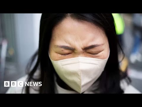 Police called ‘hours before’ Seoul Halloween crush – BBC News