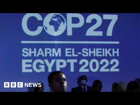 COP27 begins as world leaders arrive at climate summit in Egypt – BBC News