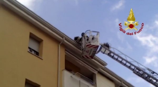 Alberi caduti e cartelli stradali divelti dal forte vento a Sassari