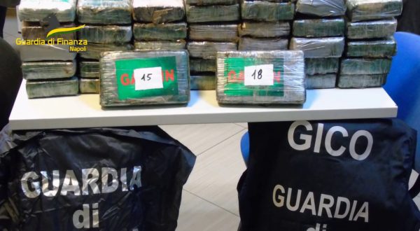 Droga dall’Olanda in Campania, 19 misure cautelari