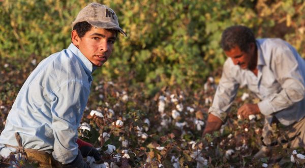 Lavoro, sei nuovi progetti contro il caporalato e lo sfruttamento al Sud