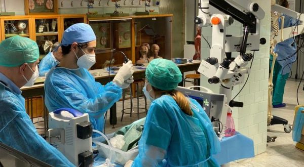 Cadaver Lab, a Palermo nuovi corsi per la formazione chirurgica