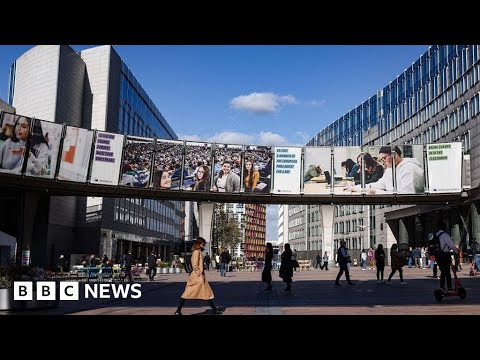 European Parliament offices searched in Qatar corruption scandal investigation – BBC News