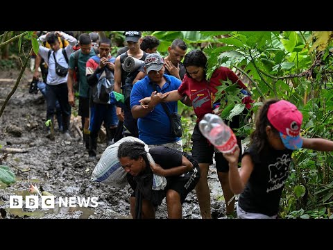 Record number of people cross dangerous Darién Gap to try and reach US – BBC News