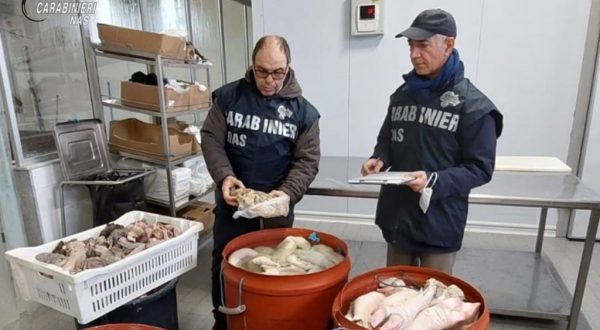 Sequestrata una tonnellata di carne a Palermo, sanzioni da 11.500 euro