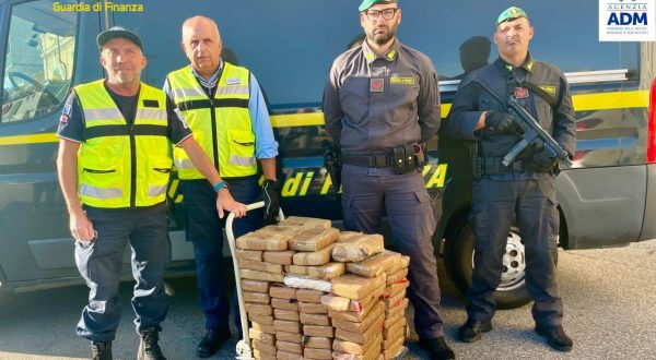 Sequestrati al porto di Livorno 180 kg di cocaina nascosta tra le banane