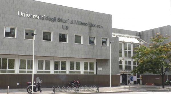 Milano-Bicocca, 42 assunzioni a tempo indeterminato