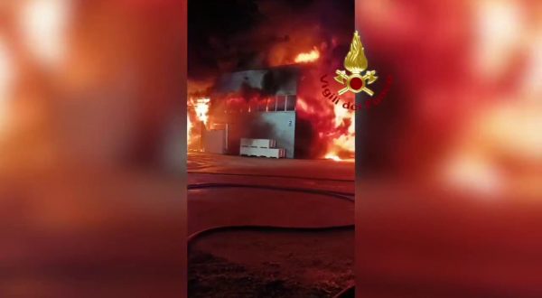 Rovigo, un incendio distrugge parte di una azienda ittica. Le immagini