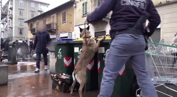 Sgominata piazza di spaccio a Torino