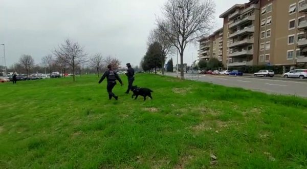 Cani avvelenati a Firenze, bonifica dell’unità cinofila