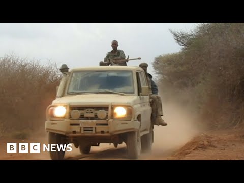 Somalia attack leaves 26 dead at military base near Mogadishu – BBC News