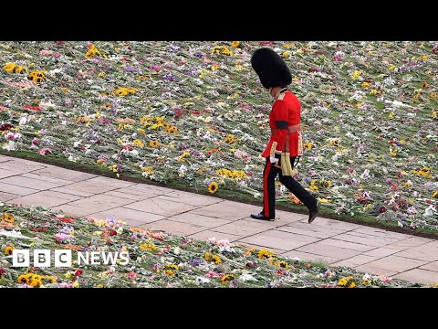 2022’s biggest stories… in 74 seconds – BBC News