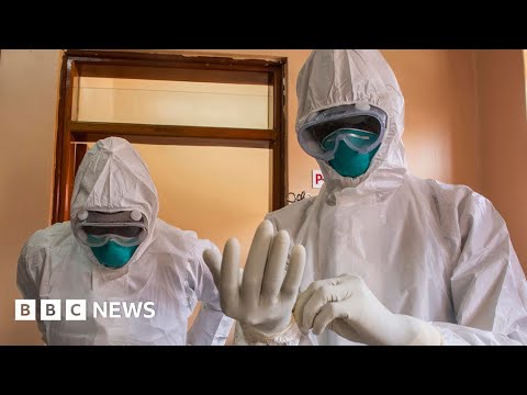 Orphaned by Ebola: Ten years since the largest Ebola outbreak began in West Africa – BBC News