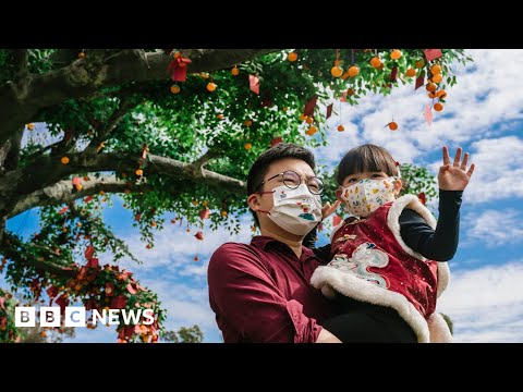 Chinese families reunite for Lunar New Year – BBC News