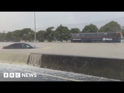 Fears of further New Zealand flood damage as new alerts issued – BBC News