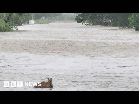 ‘Once in a century’ flooding hits Australia – BBC News