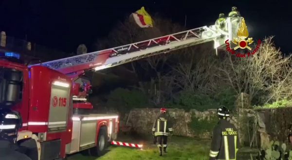 Soccorso parapendista bloccato su un albero nel triestino