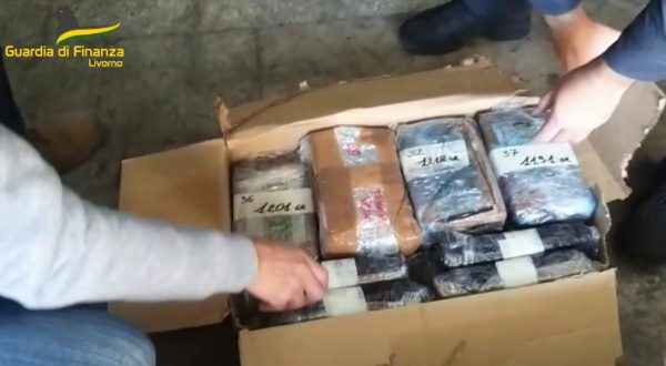 180 kg di cocaina nascosti tra le banane. Scatta il maxi sequestro