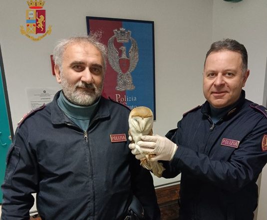 Alla stazione di Catania gli agenti della Polizia ferroviaria salvano un barbagianni ferito