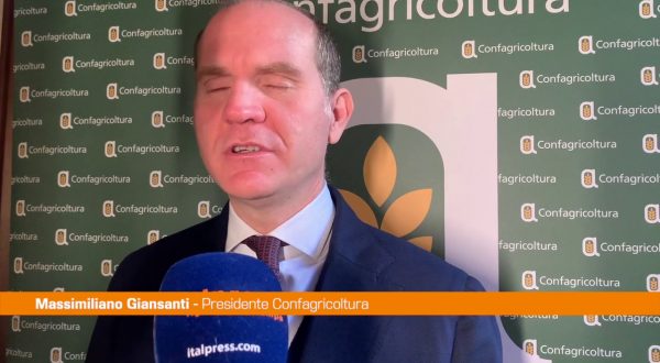 Confagricoltura Giansanti “Impegnati a valorizzare olio di qualità”