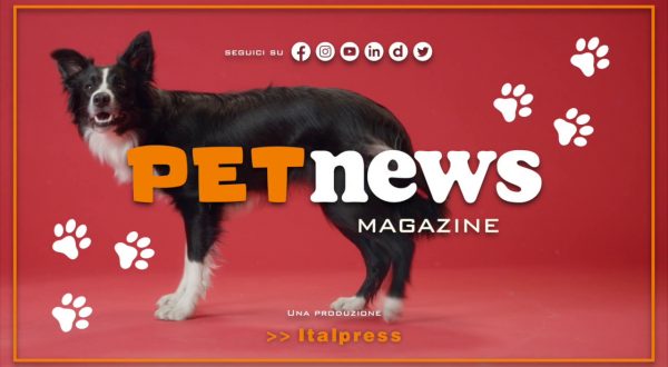 PetNews Magazine – 21/2/2023