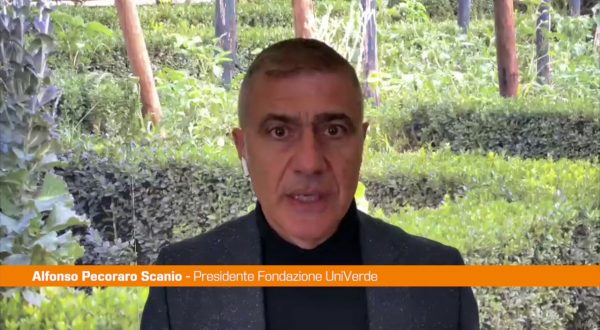 Pecoraro Scanio “Bene apertura Conte a Schlein per area progressista”