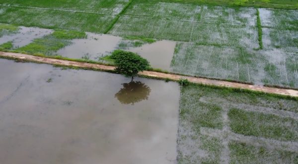 Clima, adesso si teme la siccità