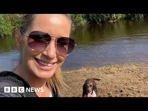 Search for missing woman Nicola Bulley extends to sea – BBC News