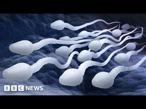 Male contraceptive pill a real possibility, say scientists – BBC News